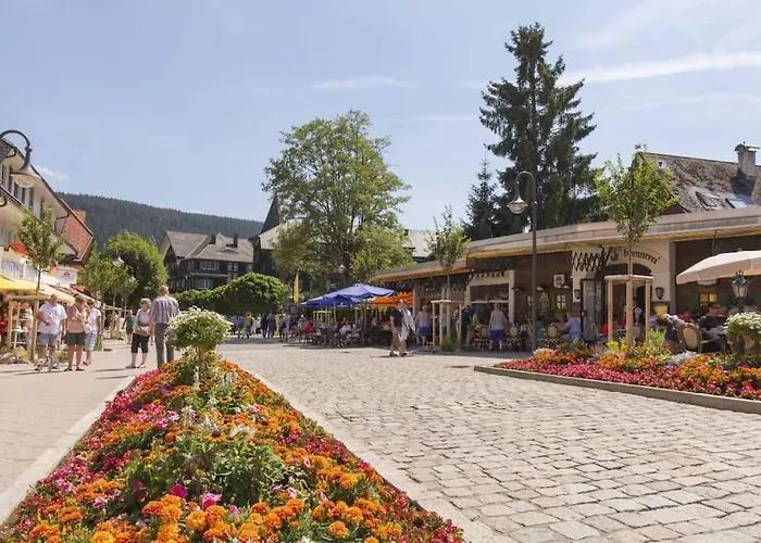 Waldoase Titisee