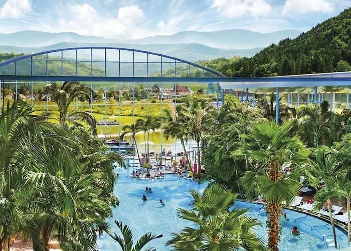 Waldoase Titisee
