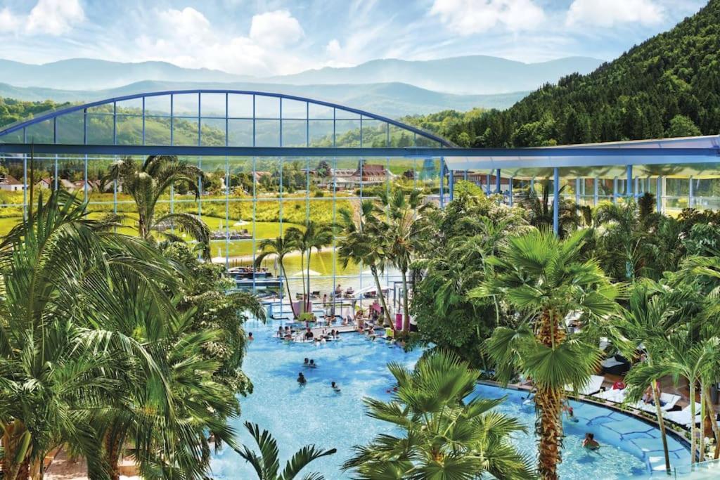 Waldoase Titisee-Neustadt
