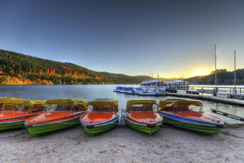 Waldoase Titisee-Neustadt