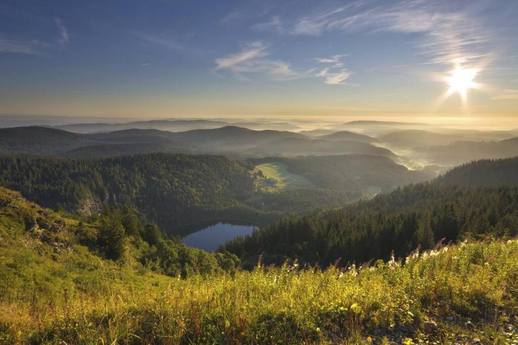 Waldoase Titisee-Neustadt