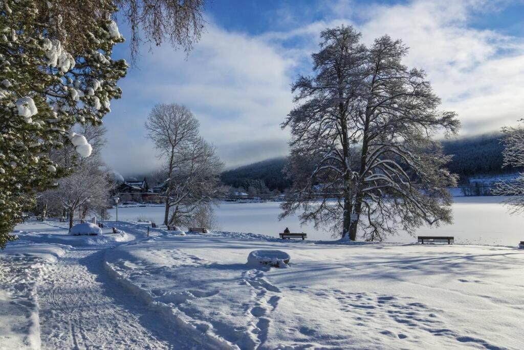 Waldoase Titisee-Neustadt